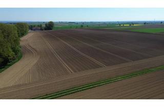 Immobilie kaufen in 86673 Bergheim, Großflächiges Ackerland – 139.896m² mit hoher Ertragskraft in Bergheim