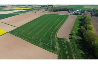 Immobilie kaufen in 86673 Bergheim, Attraktive Ackerfläche – 61.821m² bei Neuburg/Bergheim.