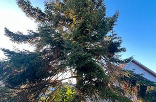 Bauernhaus kaufen in 74177 Bad Friedrichshall, Bad Friedrichshall - Wohnhaus mit separater Scheune + 1 ha Weideland