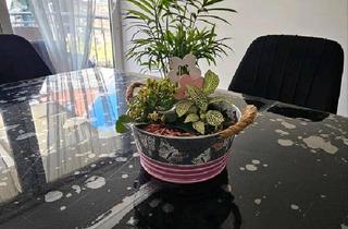 Einfamilienhaus kaufen in 47053 Duisburg, Duisburg - Einfamilienhaus in Duisburg Rheinhausen top Lage mit eigenem