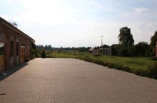 Einfamilienhaus kaufen in 38489 Beetzendorf, Beetzendorf - Einfamilienhaus auf 1,5 Hektar Grundstück in Darnebeck