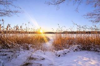 Doppelhaushälfte kaufen in 14974 Ludwigsfelde, Ludwigsfelde - Doppelhaushälfte im Naturschutzgebiet