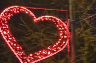 Haus kaufen in 32805 Horn-Bad Meinberg, Horn-Bad Meinberg - 3-Familienhaus in Horn-Bad Meinberg zu verkaufen