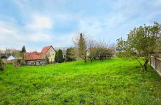 Haus kaufen in 04626 Schmölln, Schmölln - Haus mit großem Grundstück in ruhiger Lage (Großbraunshain)