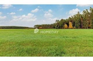 Haus kaufen in 91183 Abenberg, Abenberg - 8,79 ha: Großflächiges Areal für Landwirtschaft, Forst und Neugestaltung