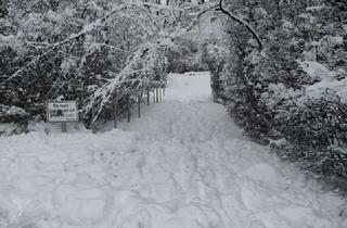 Wohnung mieten in 91056 Alterlangen, Stylische, (teil)möblierte Traumwohnung in grüner TOP-Lage Alterlangen