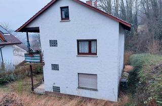 Haus kaufen in 69234 Dielheim, Charmantes Zweifamilienhaus mit vielen Möglichkeiten und großem Grundstück in Dielheim