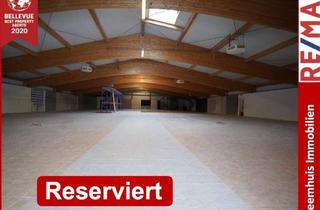 Gewerbeimmobilie kaufen in 26831 Bunde, Vielseitig nutzbare große Halle in Grenznähe zu den Niederlanden!!!