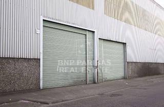 Büro zu mieten in 50127 Bergheim, Kurzfristig Verfügbar // Ebenerdige Hallen- und Büroflächen in Bergheim // Anmietung über BNP