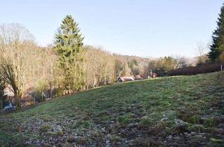 Grundstück zu kaufen in 38707 Altenau, Bauherren aufgepasst: Großes, interessantes Baugrundstück in Altenau...