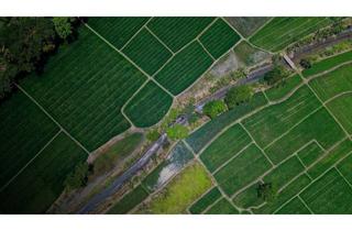 Grundstück zu kaufen in 06188 Niemberg, Großzügiges Grundstück mit Baurecht, Wohngebiet & Ackerland in Landsberg