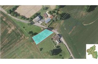 Grundstück zu kaufen in 54675 Niedergeckler, Baugrundstück mit schöner Aussicht in Niedergeckler