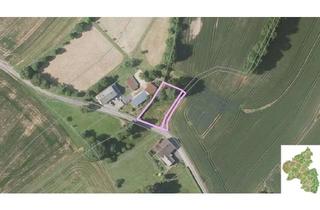 Grundstück zu kaufen in 54675 Niedergeckler, Baugrundstück in Niedergeckler mit schöner Aussicht