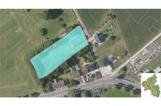 Grundstück zu kaufen in 54675 Niedergeckler, Baugrundstück in ruhiger Lage von Niedergeckler