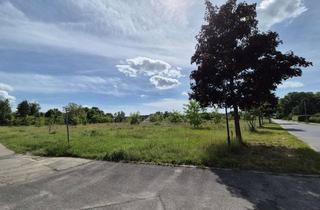 Grundstück zu kaufen in 15926 Luckau, Attraktives Baugrundstück in Luckau: Viel Platz für Ihre Wohnideen!