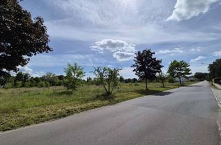 Grundstück zu kaufen in 15926 Luckau, Attraktives Baugrundstück mit Entwicklungspotenzial in Luckau