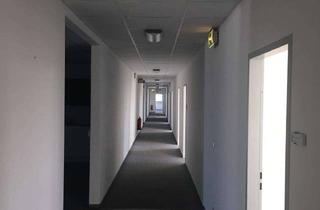 Büro zu mieten in Dr.-Werner-Freyberg-Straße, 69514 Laudenbach, TRIWO Gewerbepark Laudenbach: Büroflächen ab 20 m² anmietbar