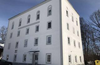 Immobilie mieten in Mühlenstraße, 83404 Ainring, gemütliches 1-Zimmer Appartement