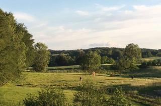 Immobilie kaufen in 19061 Haselholz, Traumhafte Anlage mit Eigenjagd, Park und Herrenhaus in Alleinlage zu verkaufen