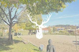 Wohnung kaufen in 88637 Leibertingen, Stilvoller Pferdehof mit flexiblem Gewerberaum, zwei Wohnungen und 1,3 ha arrondierter Fläche