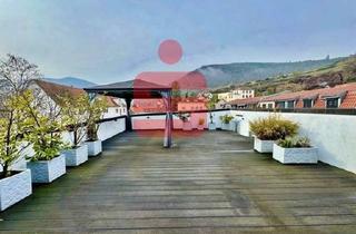 Penthouse kaufen in 67433 Neustadt, Großzügige Penthousewohnung über den Dächern von Neustadt an der Weinstraße