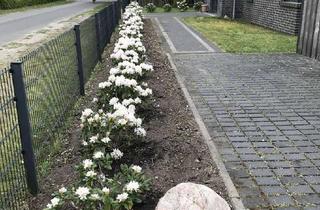 Wohnung mieten in Waldstraße, 21259 Otter, Wohnung in Stadtvilla mit großzügiger Terrasse und Carport im Grünen