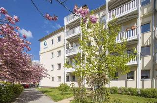 Wohnung mieten in Ribbecker Straße 63, 10315 Friedrichsfelde (Lichtenberg), Traumwohnung Nähe Tierpark sucht Nachmieter!