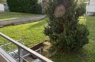 Wohnung mieten in Goldäckerstraße, 71229 Leonberg, 2 Zimmer WHG / sonnendurchflutet / ruhig / Balkon / Garten