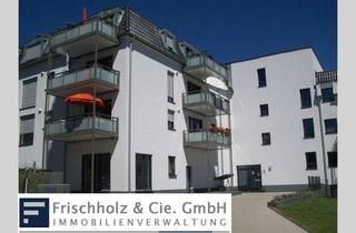 Wohnung mieten in Börlinghausen, 58566 Kierspe, Mit Wohnberechtigungsschein! Zentrumsnah & barrierefrei - 2-Zimmer-Wohnung mit Balkon in Kierspe!