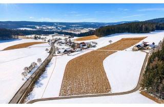 Haus kaufen in 93185 Michelsneukirchen, Ländliches Anwesen mit weitläufigem Grundstück und Reit-/Bewegungsplatz