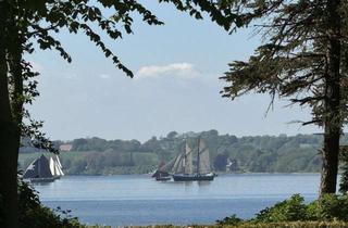 Haus kaufen in 24960 Glücksburg, Schausende: charmantes Ferienhaus direkt an der Flensburger Förde