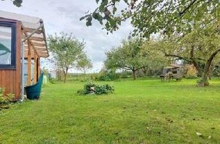 Haus kaufen in Beerengrund 29, 33178 Borchen, Günstige Konditionen möglich ! Neubau, Reihenendhaus in ruhiger Lage in Borchen-Dörenhagen !