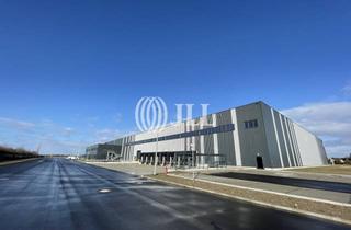 Gewerbeimmobilie mieten in 06184 Kabelsketal, moderne WGK III - Logistikhallen direkt an der A 14 - ab 7.000 m²
