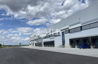 Gewerbeimmobilie mieten in 06766 Bitterfeld-Wolfen, Hallenfläche an der A9 zur Miete