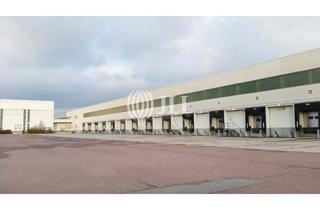 Gewerbeimmobilie mieten in 06780 Zörbig, Lager- und Logistikflächen zur Miete - ab 5.000 m²