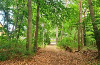 Grundstück zu kaufen in 14552 Michendorf, Perfektes Grundstück mitten in Wilhelmshorst!