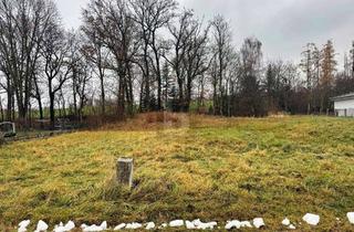 Grundstück zu kaufen in 84160 Frontenhausen, STEHT HIER IHR KÜNFTIGES DOMIZIL IM GRÜNEN?