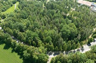 Grundstück zu kaufen in 95698 Neualbenreuth, Investmentchance: 3 Grundstücke nahe Sibyllenbad für Pflege & Gesundheit