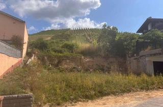 Grundstück zu kaufen in 77815 Bühl, Attraktive Feldrandlage mit Blick auf die Weinberge – ideal für ein 3-Familienhaus