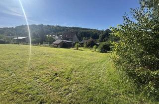 Grundstück zu kaufen in 09599 Freiberg, Ich bin ein Traumgrundstück und warte auf Ihr neues Zuhause! Neugierig?