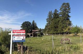 Grundstück zu kaufen in 82057 Icking, Ein Logenplatz im Isartal: 2.700 m² Baugrundstück in privilegierter Feldrandlage von Icking