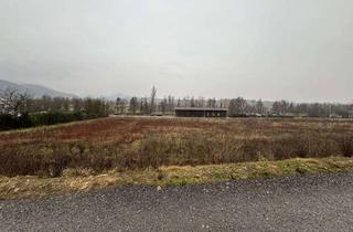 Grundstück zu kaufen in Am Lokschuppen, 76889 Klingenmünster, Gewerbegrundstück in Klingenmünster