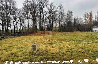 Grundstück zu kaufen in 84160 Frontenhausen, STEHT HIER IHR KÜNFTIGES DOMIZIL IM GRÜNEN?