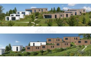 Immobilie kaufen in 34123 Kassel, Voll genehmigter Tiny-House / Modulhaus-Park (10+Einheiten) – Nahe Kassel