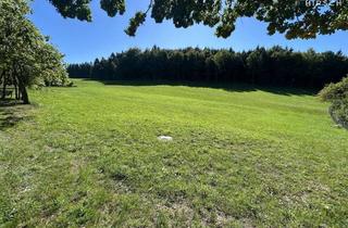 Immobilie kaufen in 93455 Traitsching, Baugrundstück mit traumhafter Sonnenuntergangslage in ruhigem Wohngebiet