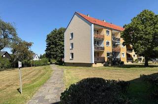 Wohnung kaufen in 38229 Salzgitter, Salzgitter - Charmante sonnige 2 Zimmer Wohnung mit Balkon 53qm in Salzgitter