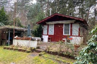 Haus kaufen in 29693 Hodenhagen, Hodenhagen - Haus Holzhaus zu verkaufen 500m zur Aller