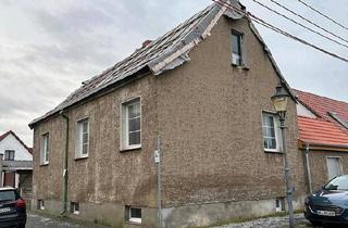 Haus kaufen in 06785 Oranienbaum-Wörlitz, Oranienbaum-Wörlitz - Haus im Oranienbaum-Wörlitzer Gartenreich