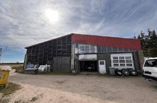 Haus kaufen in 18258 Kassow, Kassow - RAUM ZUM LEBEN - MIT GARAGE DER EXTRAKLASSE