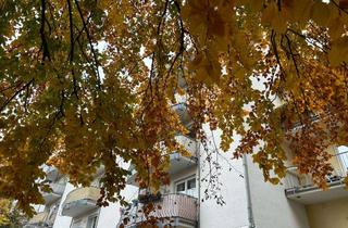 Wohnung kaufen in 99817 Eisenach, SEHR BELIEBTE LAGE- SCHÖNES 1 ZIMMER APPARTMENT IM VILLENVIERTEL